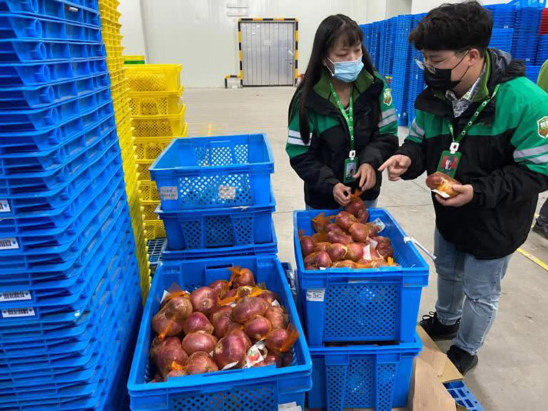 蔬菜生鮮使用塑料周轉筐（kuāng）